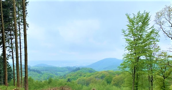 Aussicht Siebengebirge